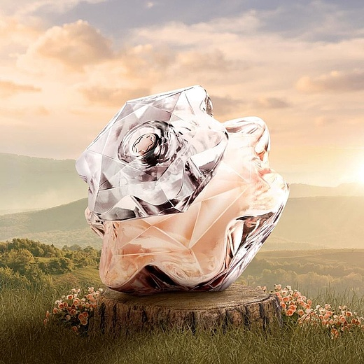 Montblanc Lady Emblem