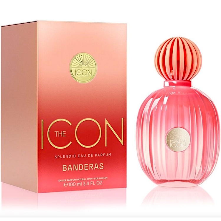 Antonio Banderas the Icon Splendid